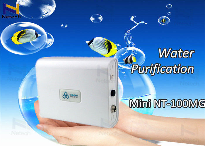 100mg/h Mini Hotel Ozone Machine Air Purifier for Car Smoke / Odor Removal