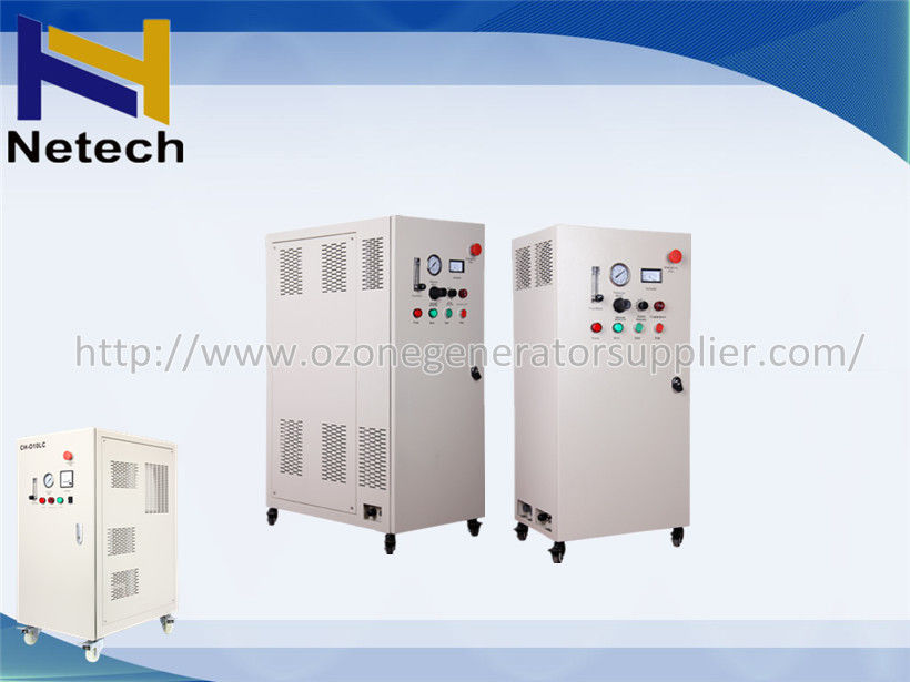 Household Ozone Generator Water Purification 5g 10g 15g 20g 30g In Swimming Pool