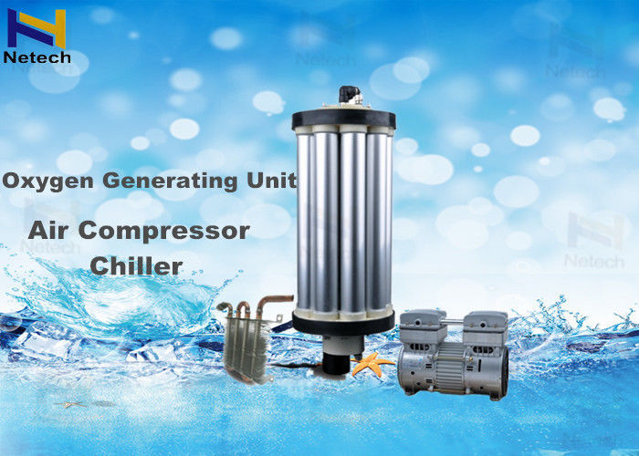 15 lpm Oxygen Concentrator Parts With Air Compressor Chiller For Ozone Machine
