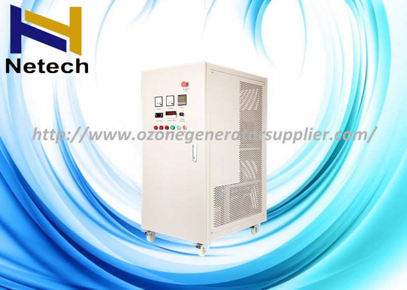 50g O2 Fed Industrial Ozone Generator For Food Plant cleanr And cleanion