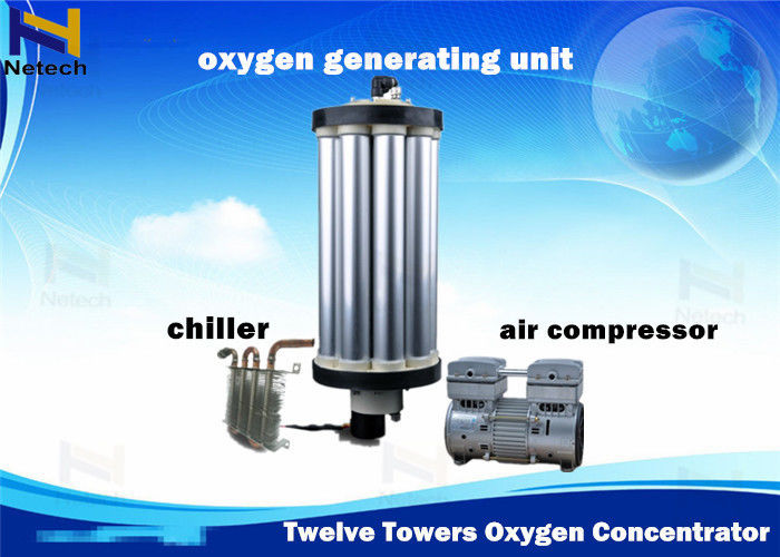 Twelve Towers Zeolite Molecular Sieve Oxygen Generator Longer Lifespan For Home