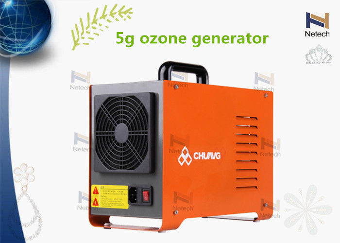 Aquaculture System Portable Ozone Generator 110V 220V 5000 mg/h Water Treatment