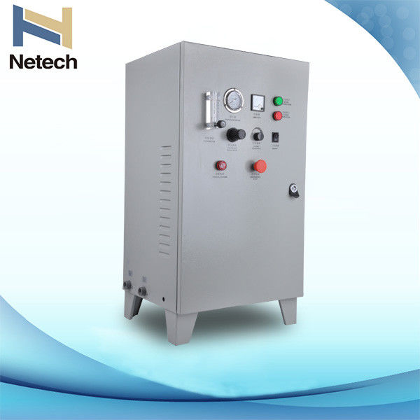 Enamel Cold Food Processing Ozone Generator Water Cooling , o3 ozone equipment