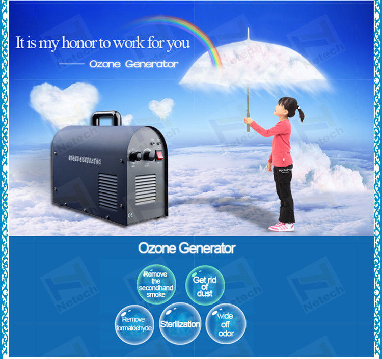 Professional Household Ultrapure Ozone Generator , car ozone machine / equipment