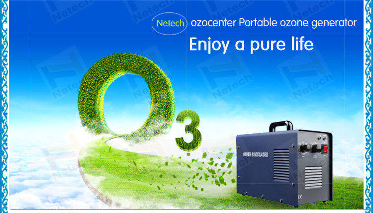 Fruit cleaning High purity household ozone generator 6g with CE ceramic tube