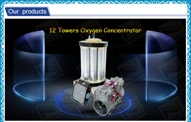 High concentration Twelve Tower O2 Generator Molecular Sieve 5LPM for oxygen generator