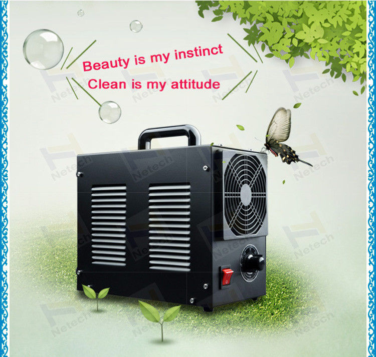 Fruits Treatment Room Ozone Generator 3g 5g , portable ozone machine