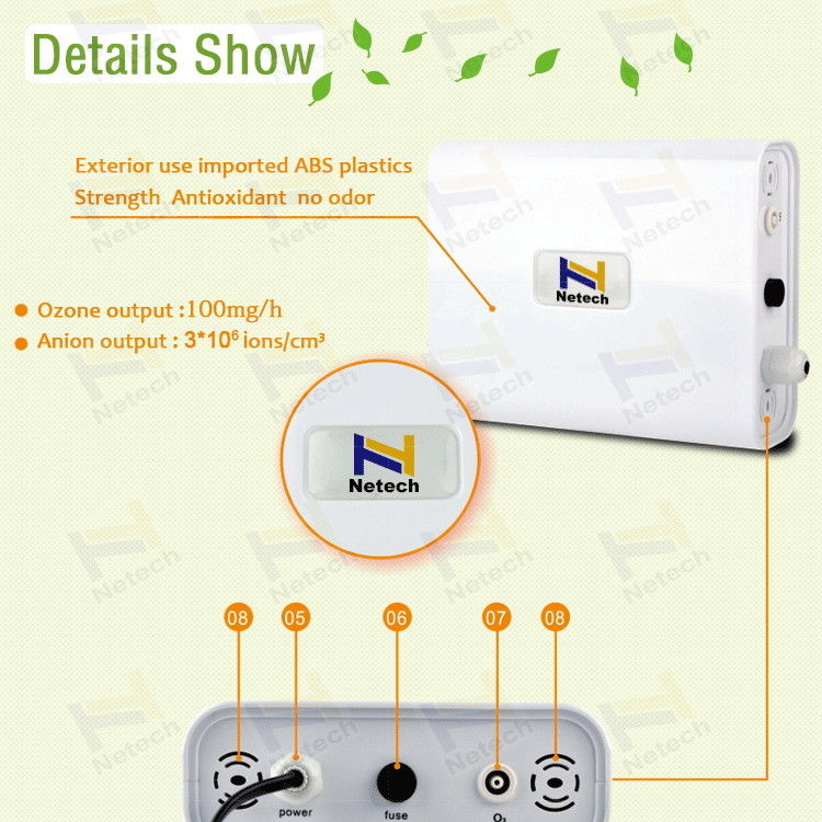 100mg Per Hour Ozone Output Ozonizer For Vegetables And Fruits