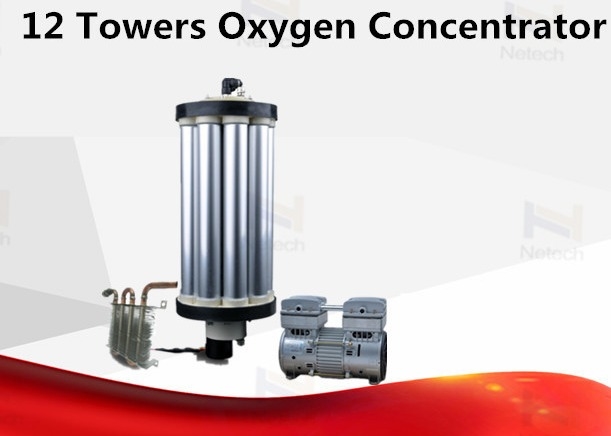 3 - 15 LPM Twelve Tower Oxygen Concentrator Repair For Ozone Generator Assemble