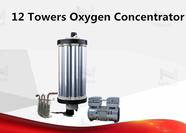3L 5L 10L Industrial PSA Oxygen Machine Oxygen Concentrator Spare Parts Stable