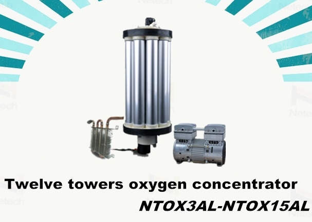 Oxygen Source Ozone Generator For Industry Wastewater Treatment O2 Concentrator