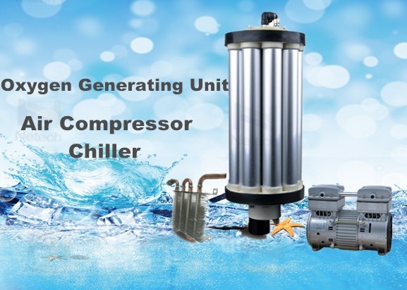 Oxygen Source Ozone Generator For Industry Wastewater Treatment O2 Concentrator