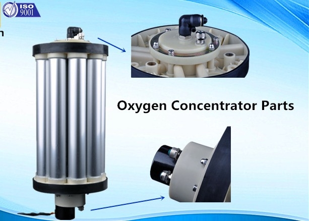 3L -15L PSA Oxygen Concentrator Repair Oxygen Molecular Sieve For Oxygen Increase