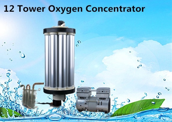 3L -15L PSA Oxygen Concentrator Repair Oxygen Molecular Sieve For Oxygen Increase