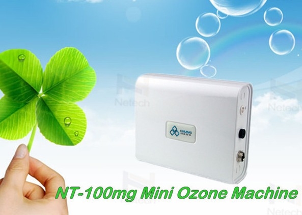 While Mini 100mg Commercial Ozone Generator For Remove Smoke / Air Purifier 9W