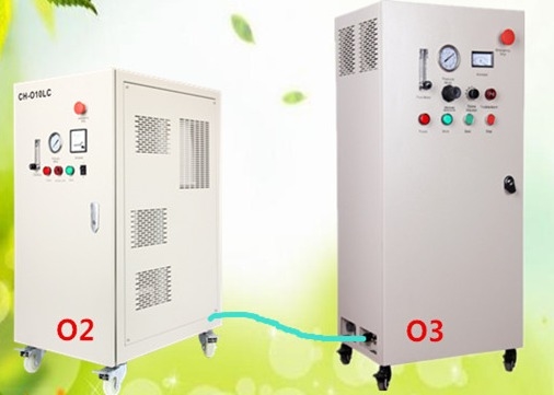 10g - 60g Feed Oxygen Ozone Generator For Washing Car Industrial Water Ozonizer