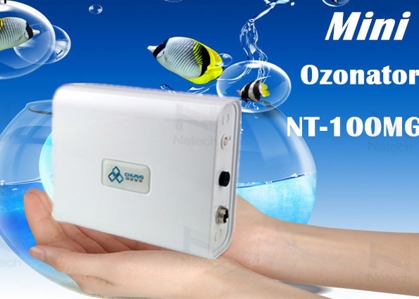 Portable Ionizer Generator Commercial Ozone Generator cleanion Clean Room