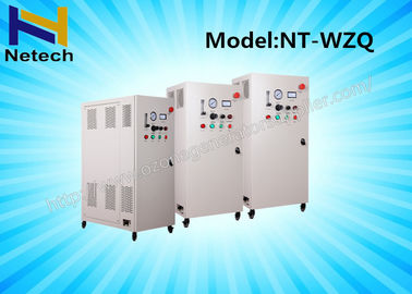 SS Housing Ozone Generator Water Purification In Sewage Water Treatment 10g - 60g