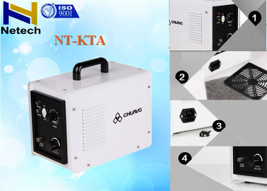 220V Odor Removal 3g - 5g Portable Ozone Generator For Hotel Room Kill Bacteria