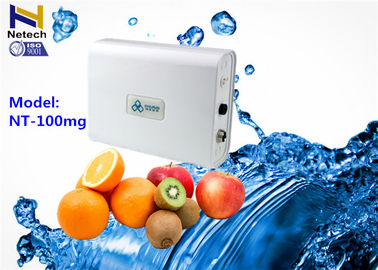 100mg Fruit Vegetable Odor Free Ozone Generator 110V Water Air cleanr Ozonizer