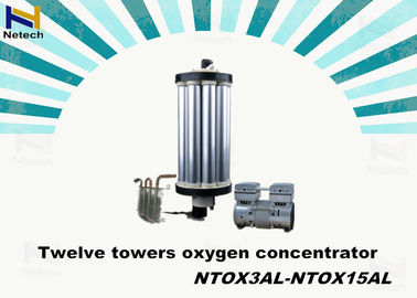 3 Liter Two Towers Oxygen Concentrator Parts PSA Oxygen Concentrator 110V