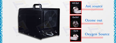 Ceramic Food Ozone Generator 220v Handy Air Cooling o3 generator air purifier