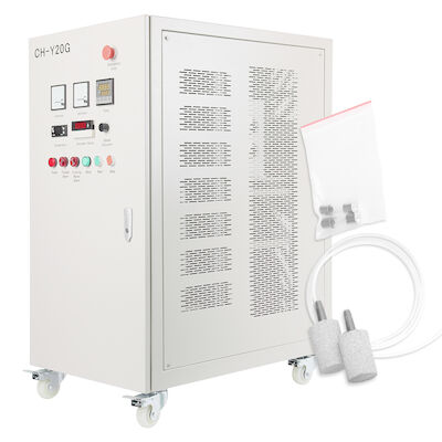 100g/h Ozone generator water treatment systems