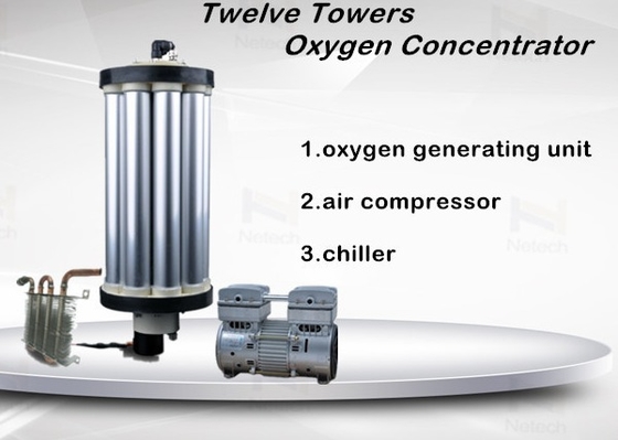 3 - 15 LPM Twelve Tower Oxygen Concentrator Repair For Ozone Generator Assemble