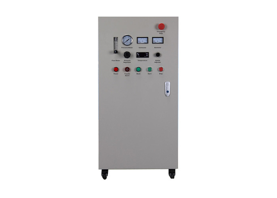 Water Cooled Commercial Ozone Generator 10g For Sterilization